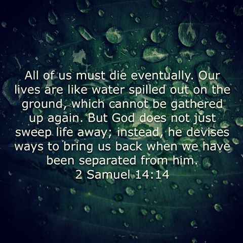 13381222_620992778063533_1485018604_n